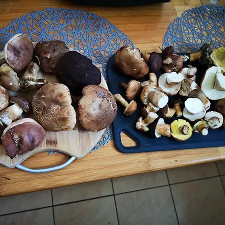 Pokoje U Kasi I Marcina * Lipnica Wielka