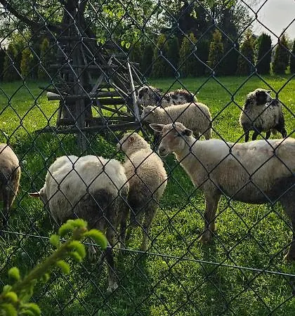 Pokoje U Kasi I Marcina * Lipnica Wielka